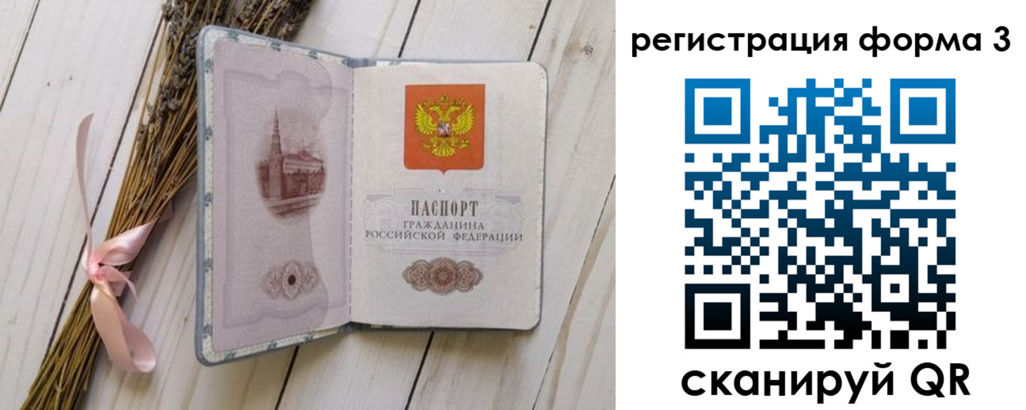прописка поиск в Геленджике